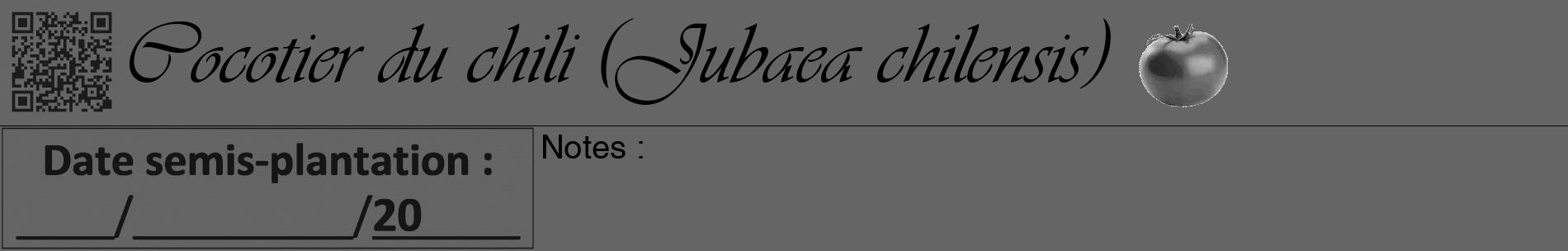 Étiquette de : Jubaea chilensis - format a - style noire32basiqueviv avec qrcode et comestibilité simplifiée