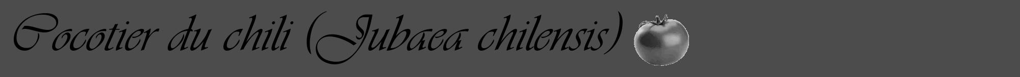 Étiquette de : Jubaea chilensis - format a - style noire27viv avec comestibilité simplifiée