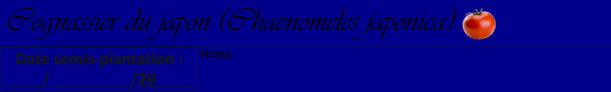 Étiquette de : Chaenomeles japonica - format a - style noire7viv avec comestibilité simplifiée