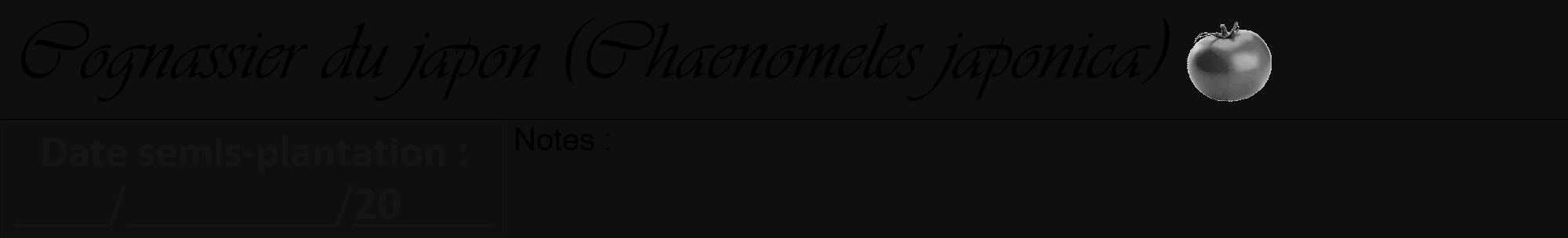 Étiquette de : Chaenomeles japonica - format a - style noire7viv avec comestibilité simplifiée
