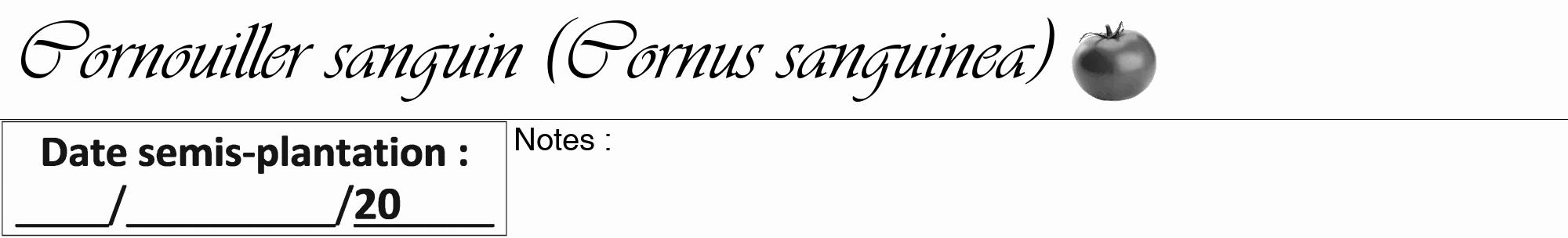 Étiquette de : Cornus sanguinea - format a - style noire19viv avec comestibilité simplifiée
