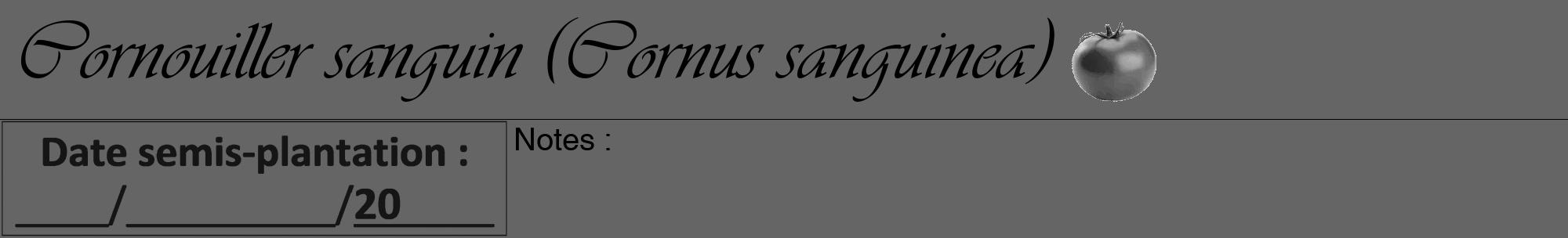 Étiquette de : Cornus sanguinea - format a - style noire32viv avec comestibilité simplifiée