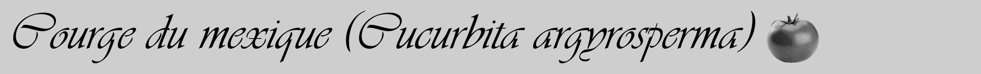 Étiquette de : Cucurbita argyrosperma - format a - style noire17viv avec comestibilité simplifiée