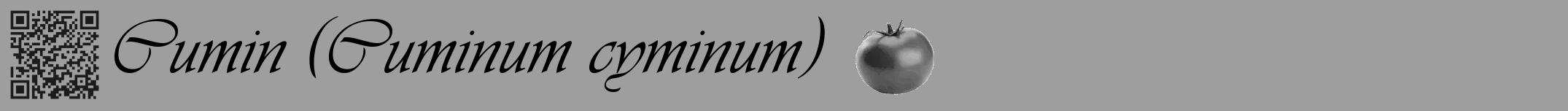 Étiquette de : Cuminum cyminum - format a - style noire23basiqueviv avec qrcode et comestibilité simplifiée