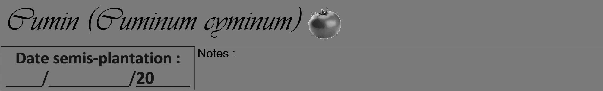 Étiquette de : Cuminum cyminum - format a - style noire3basiqueviv avec comestibilité simplifiée