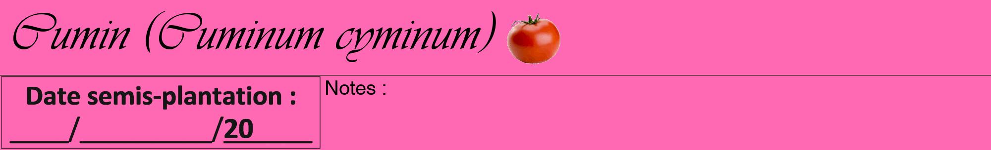 Étiquette de : Cuminum cyminum - format a - style noire42viv avec comestibilité simplifiée