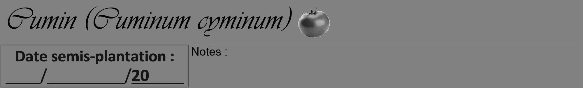Étiquette de : Cuminum cyminum - format a - style noire50viv avec comestibilité simplifiée