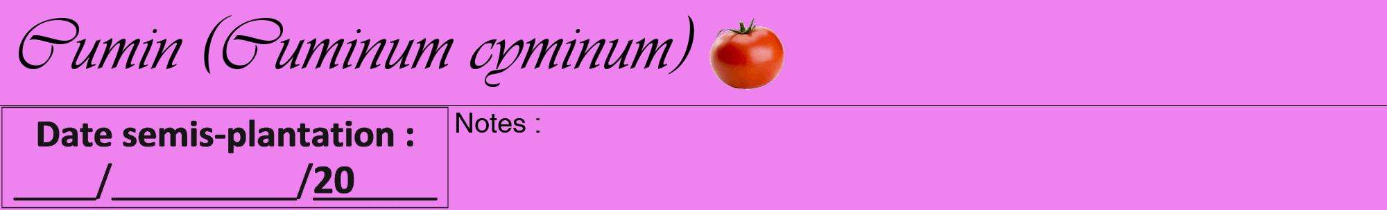 Étiquette de : Cuminum cyminum - format a - style noire53viv avec comestibilité simplifiée