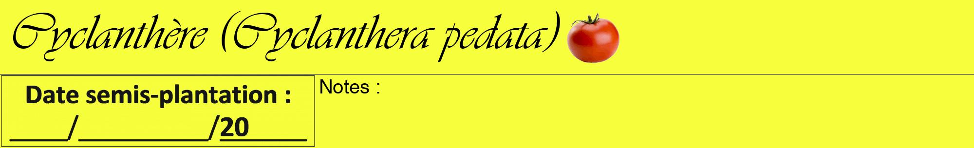 Étiquette de : Cyclanthera pedata - format a - style noire18viv avec comestibilité simplifiée