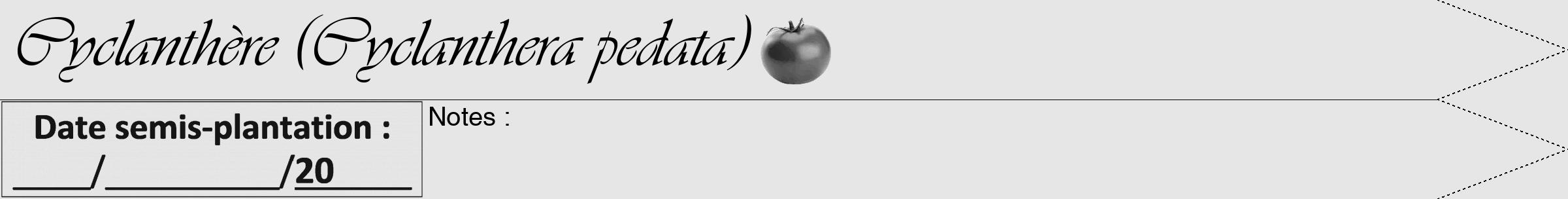 Étiquette de : Cyclanthera pedata - format a - style noire18simpleviv avec comestibilité simplifiée
