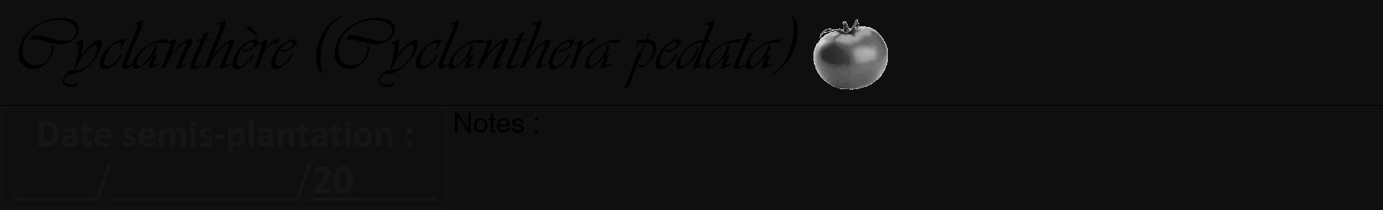 Étiquette de : Cyclanthera pedata - format a - style noire7viv avec comestibilité simplifiée