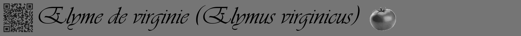 Étiquette de : Elymus virginicus - format a - style noire5viv avec qrcode et comestibilité simplifiée