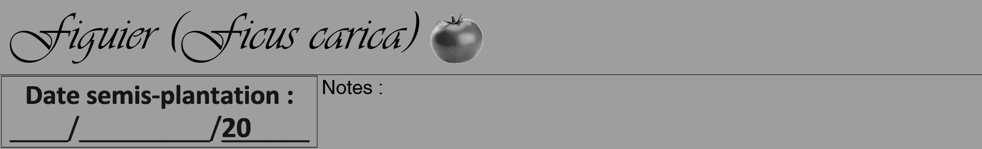 Étiquette de : Ficus carica - format a - style noire23viv avec comestibilité simplifiée