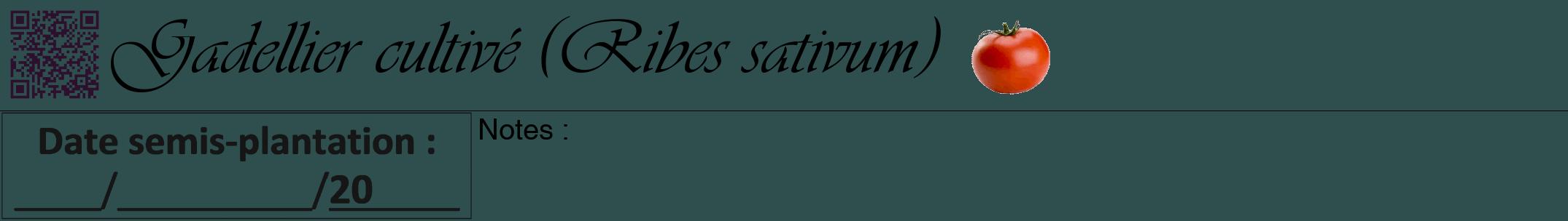 Étiquette de : Ribes sativum - format a - style noire58viv avec qrcode et comestibilité simplifiée