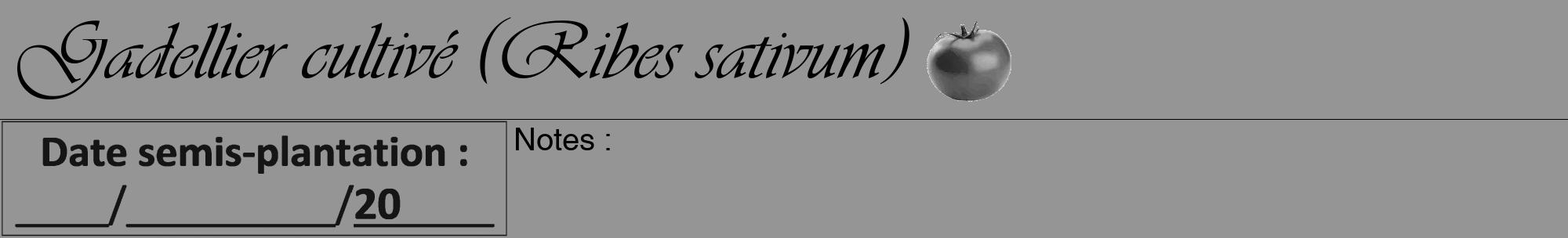 Étiquette de : Ribes sativum - format a - style noire16viv avec comestibilité simplifiée