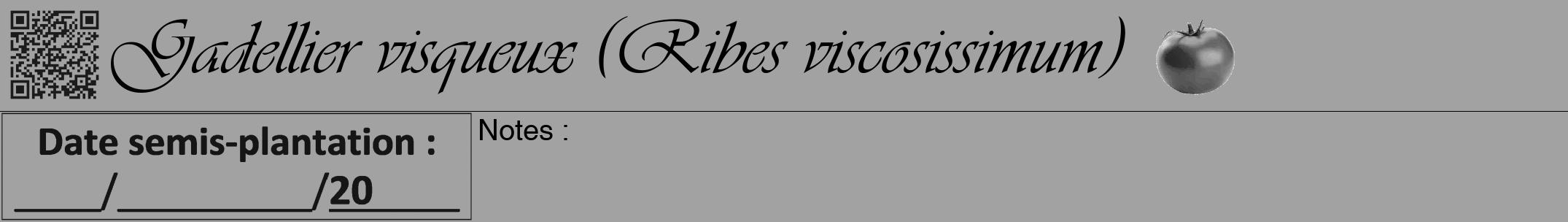 Étiquette de : Ribes viscosissimum - format a - style noire38viv avec qrcode et comestibilité simplifiée