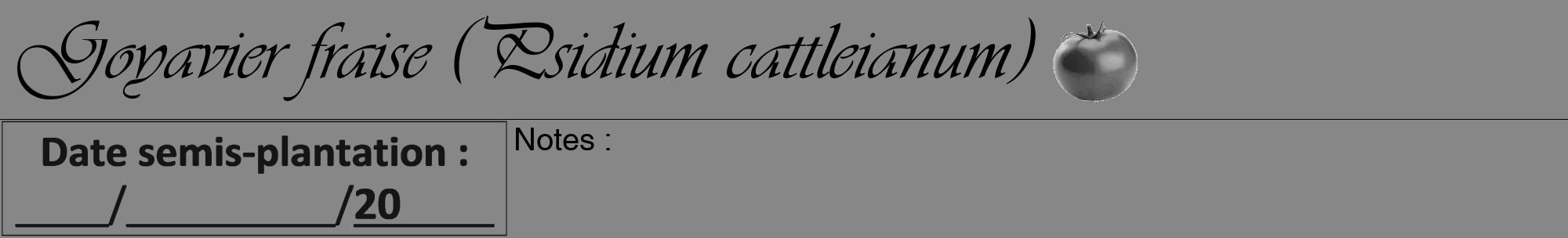 Étiquette de : Psidium cattleianum - format a - style noire12viv avec comestibilité simplifiée
