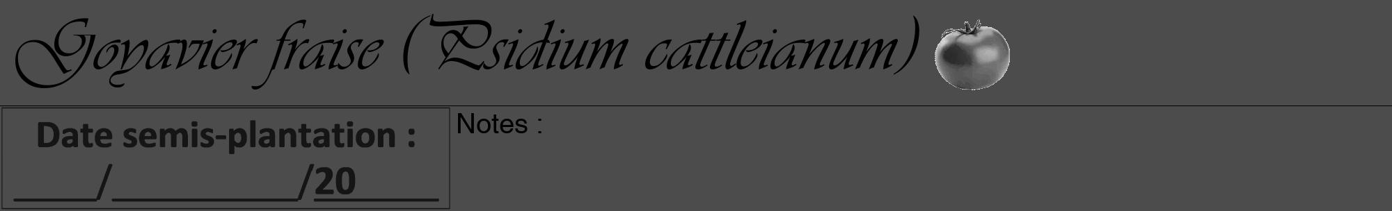 Étiquette de : Psidium cattleianum - format a - style noire27viv avec comestibilité simplifiée