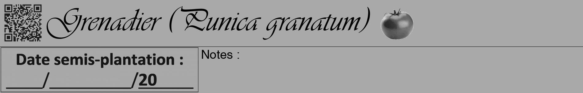Étiquette de : Punica granatum - format a - style noire13basiqueviv avec qrcode et comestibilité simplifiée