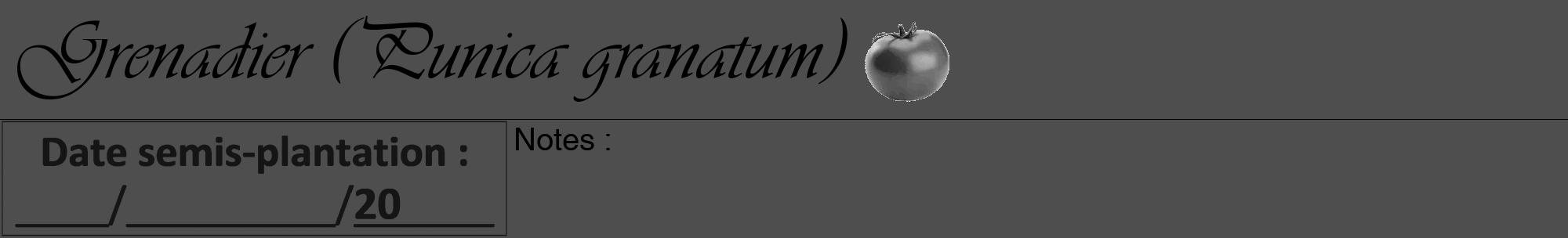 Étiquette de : Punica granatum - format a - style noire33viv avec comestibilité simplifiée