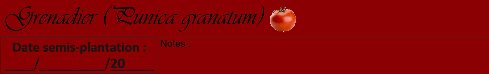 Étiquette de : Punica granatum - format a - style noire34viv avec comestibilité simplifiée