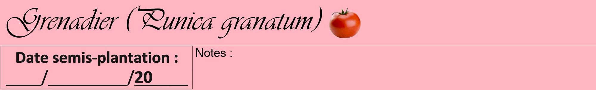 Étiquette de : Punica granatum - format a - style noire41viv avec comestibilité simplifiée