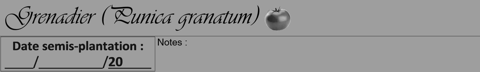 Étiquette de : Punica granatum - format a - style noire42viv avec comestibilité simplifiée