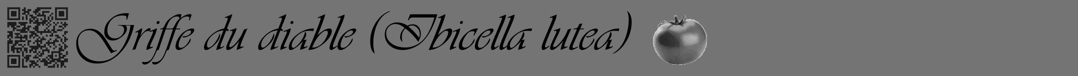Étiquette de : Ibicella lutea - format a - style noire26viv avec qrcode et comestibilité simplifiée