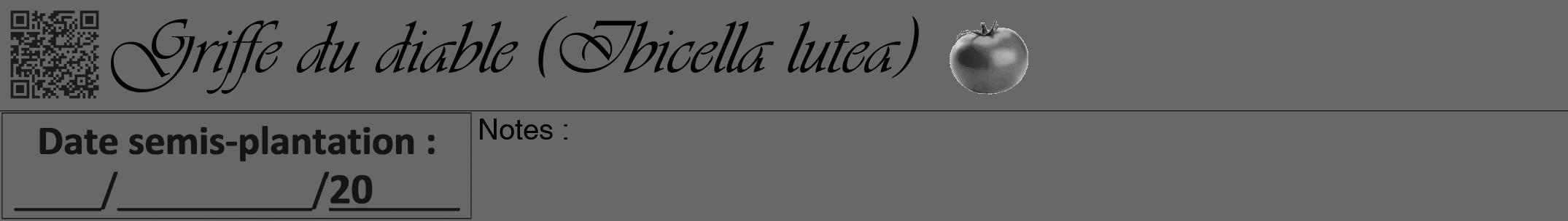 Étiquette de : Ibicella lutea - format a - style noire43viv avec qrcode et comestibilité simplifiée