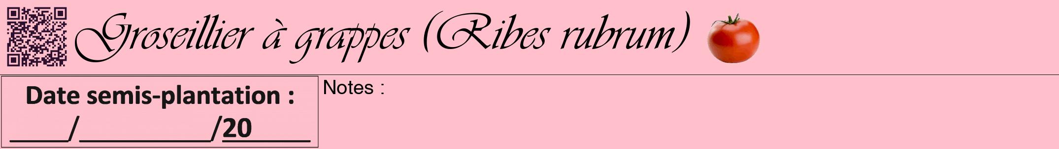Étiquette de : Ribes rubrum - format a - style noire40simpleviv avec qrcode et comestibilité simplifiée