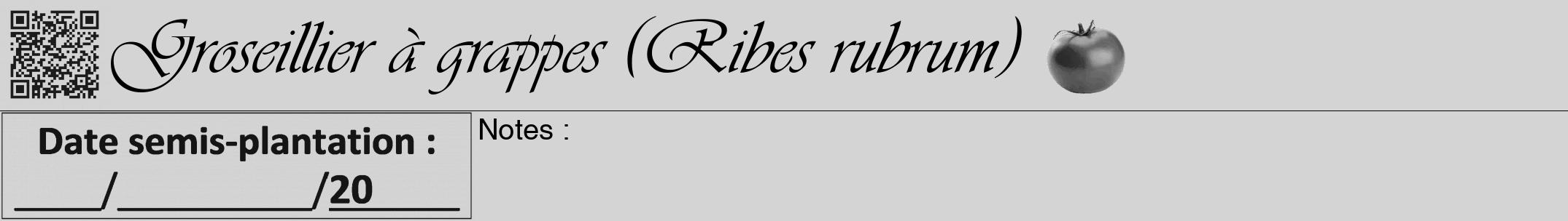 Étiquette de : Ribes rubrum - format a - style noire40simpleviv avec qrcode et comestibilité simplifiée