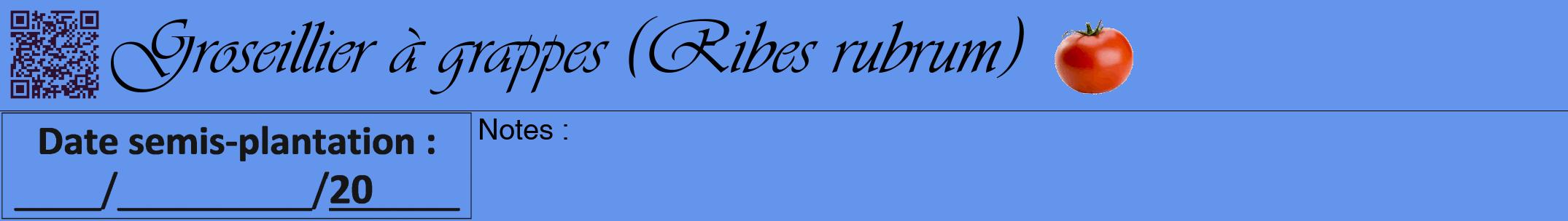 Étiquette de : Ribes rubrum - format a - style noire4viv avec qrcode et comestibilité simplifiée