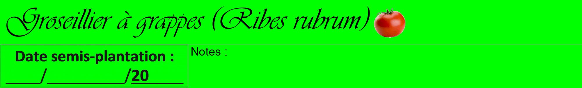 Étiquette de : Ribes rubrum - format a - style noire16viv avec comestibilité simplifiée