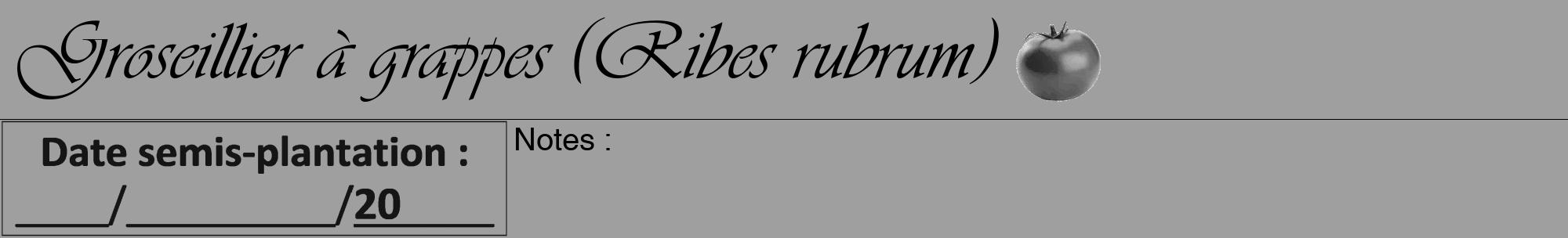 Étiquette de : Ribes rubrum - format a - style noire24viv avec comestibilité simplifiée