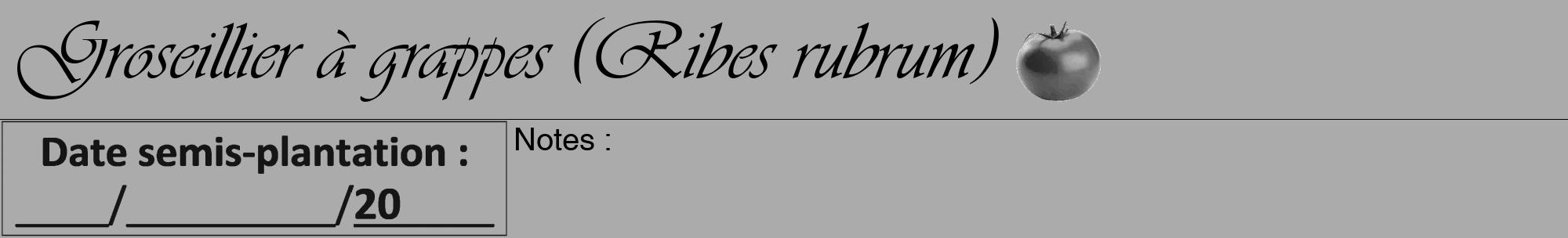 Étiquette de : Ribes rubrum - format a - style noire37viv avec comestibilité simplifiée
