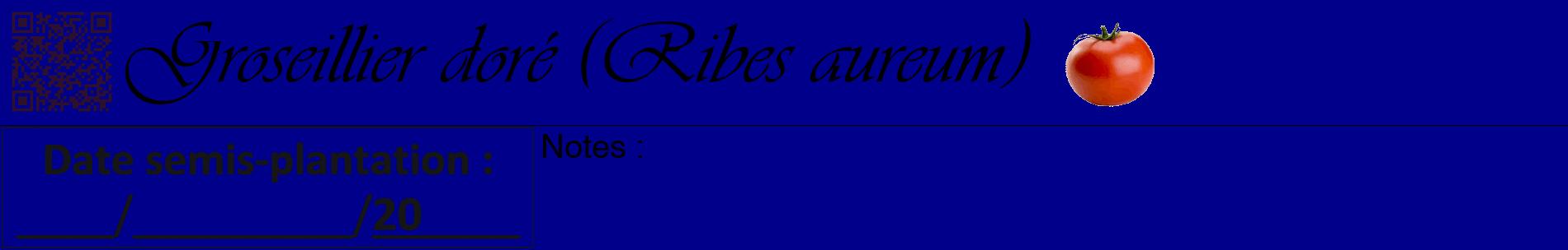Étiquette de : Ribes aureum - format a - style noire7basiqueviv avec qrcode et comestibilité simplifiée