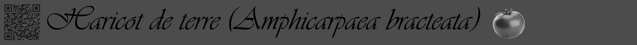 Étiquette de : Amphicarpaea bracteata - format a - style noire27viv avec qrcode et comestibilité simplifiée
