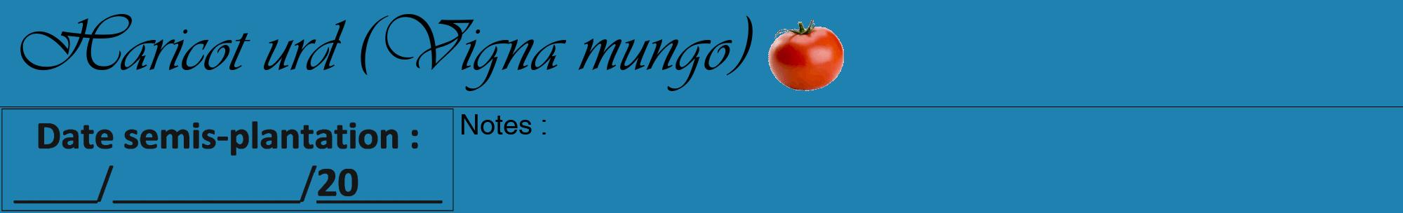 Étiquette de : Vigna mungo - format a - style noire6viv avec comestibilité simplifiée