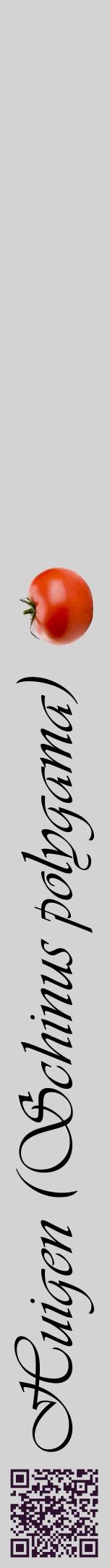 Étiquette de : Schinus polygama - format a - style noire56viv avec qrcode et comestibilité simplifiée