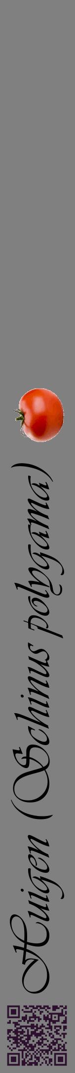 Étiquette de : Schinus polygama - format a - style noire57viv avec qrcode et comestibilité simplifiée