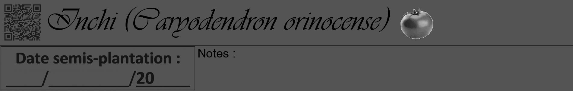 Étiquette de : Caryodendron orinocense - format a - style noire36basiqueviv avec qrcode et comestibilité simplifiée