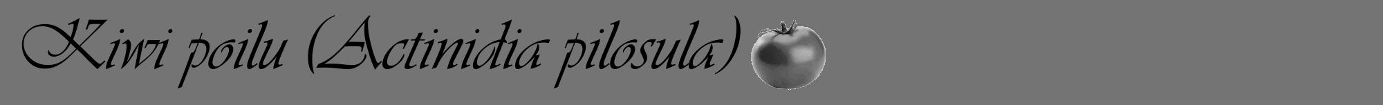 Étiquette de : Actinidia pilosula - format a - style noire26viv avec comestibilité simplifiée
