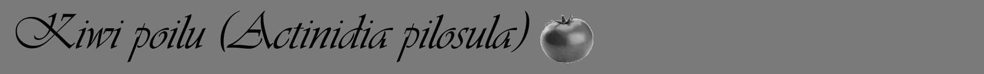 Étiquette de : Actinidia pilosula - format a - style noire3viv avec comestibilité simplifiée