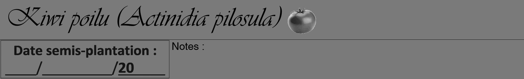 Étiquette de : Actinidia pilosula - format a - style noire3viv avec comestibilité simplifiée