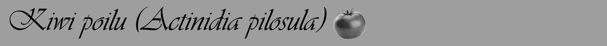 Étiquette de : Actinidia pilosula - format a - style noire42viv avec comestibilité simplifiée