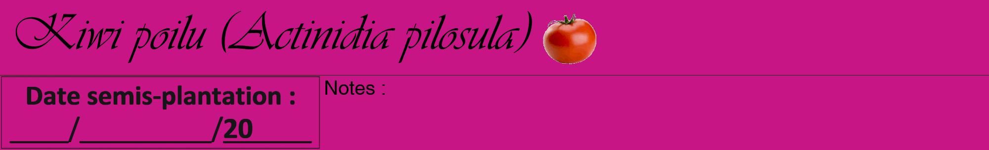 Étiquette de : Actinidia pilosula - format a - style noire45viv avec comestibilité simplifiée