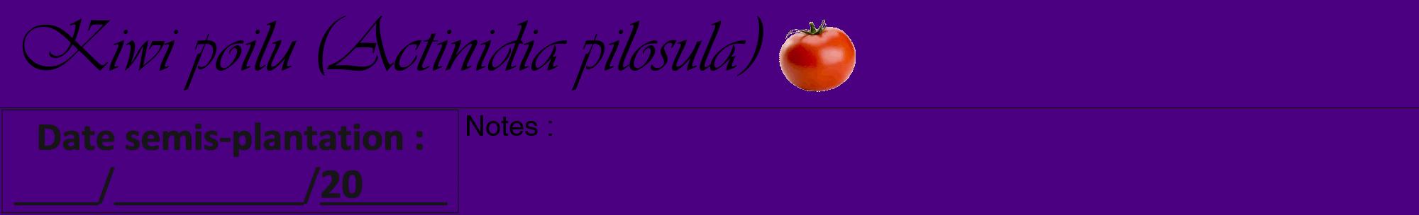 Étiquette de : Actinidia pilosula - format a - style noire47viv avec comestibilité simplifiée