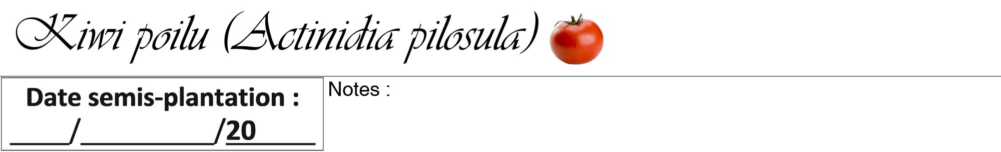 Étiquette de : Actinidia pilosula - format a - style noire60viv avec comestibilité simplifiée