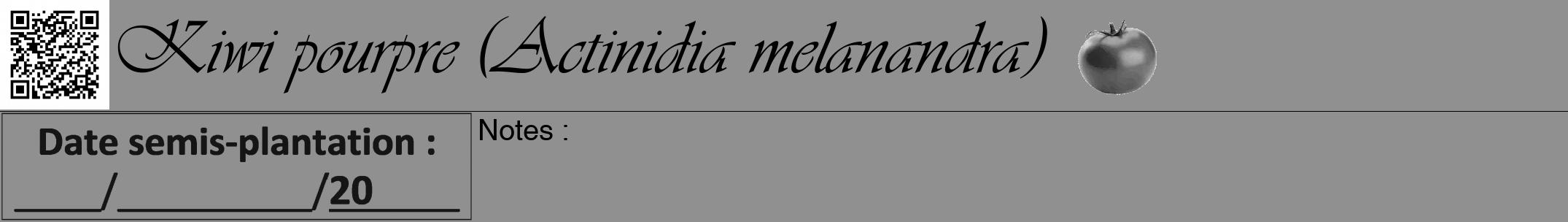 Étiquette de : Actinidia melanandra - format a - style noire4viv avec qrcode et comestibilité simplifiée