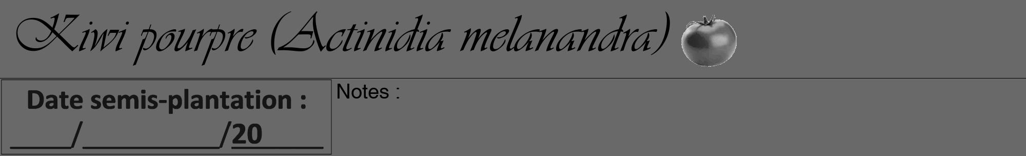 Étiquette de : Actinidia melanandra - format a - style noire11viv avec comestibilité simplifiée